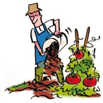 Parcelle de jardin à louer